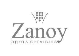 Zanoy